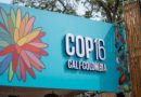 Colombia anfitriona de la Cop16 ◇ Lista para recibir a los gobiernos del mundo