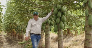 Potencial agrícola del departamento del Atlántico