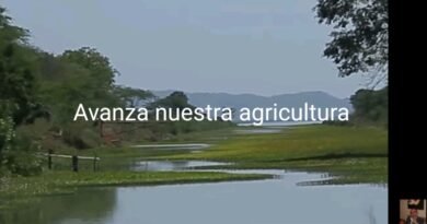 Colombia avanza en Agricultura y Turismo