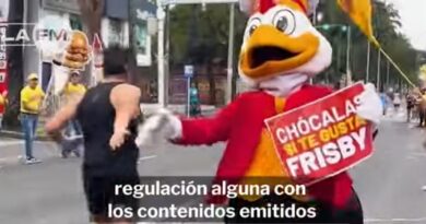 Frisby en España