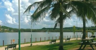 Propuesta para el Lago del Cisne