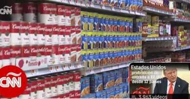 Posibles sustitutos de aluminio y acero en productos nuestros a USA