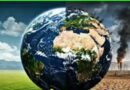 Medio Ambiente ◇ Componentes ◇