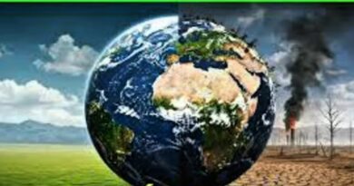 Medio Ambiente ◇ Componentes ◇