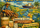 🌾 Yuca Caribeña ◇ Cultivo Estratégico ◇ Ventana al Mundo